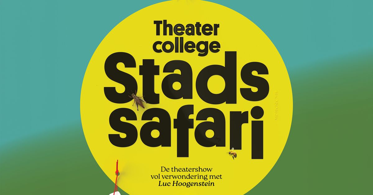 Stadssafari — Luc Hoogenstein