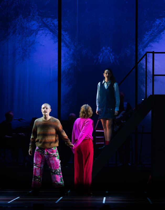 Next to Normal - Een eigentijdse pop-rockmusical met Willemijn Verkaik, Edwin Jonker e.a. | 21 november 2026 | Theater de Bussel