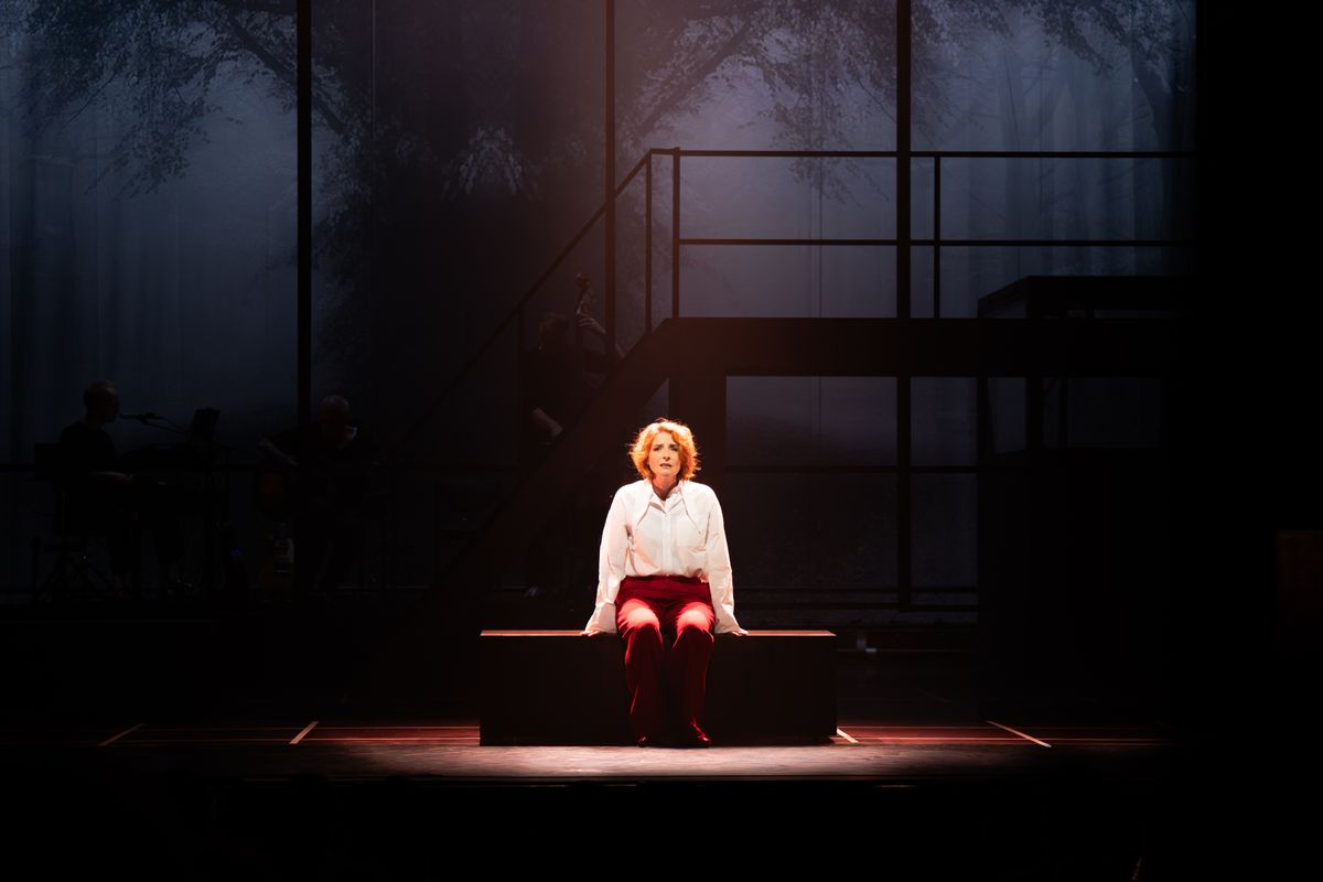 Next to Normal - Een eigentijdse pop-rockmusical met Willemijn Verkaik, Edwin Jonker e.a. | 21 november 2026 | Theater de Bussel
