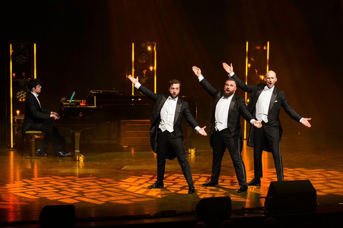 The Diamond Baritones | The Circle of Life | 8 januari 2027 | Theater de Bussel