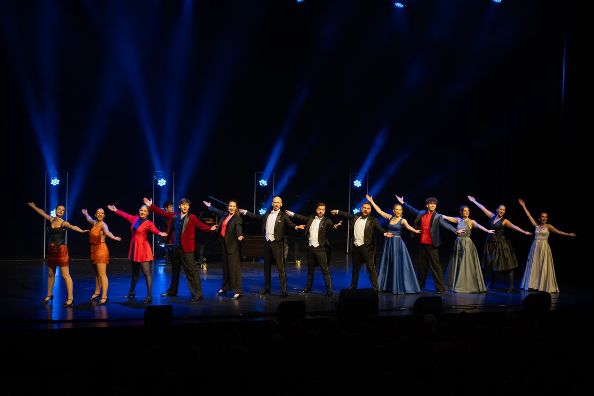 The Diamond Baritones | The Circle of Life | 8 januari 2027 | Theater de Bussel