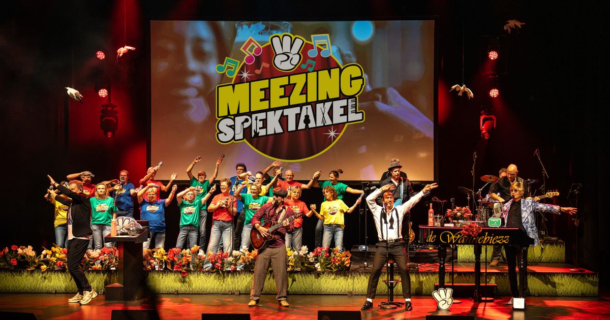 Het Meezingspektakel — van Malle Babbe tot Dancing Queen