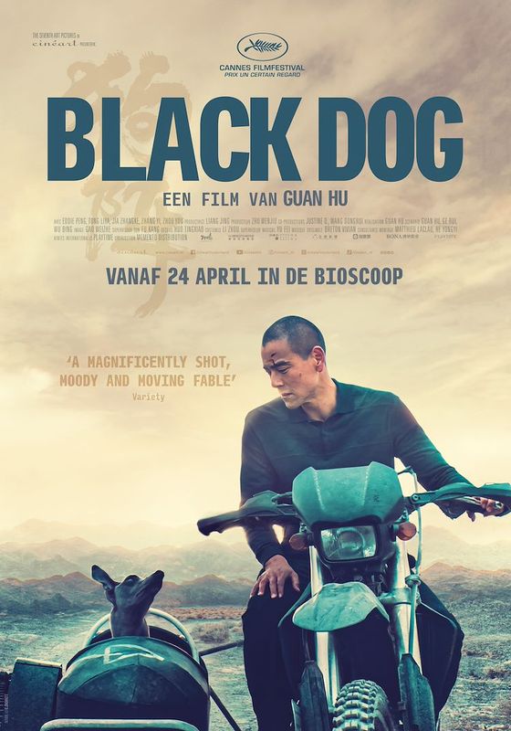 Film: Black Dog
