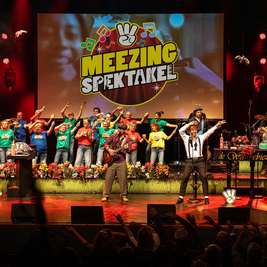 Het Meezingspektakel | van Malle Babbe tot Dancing Queen | 20 februari 2027 | Theater de Bussel