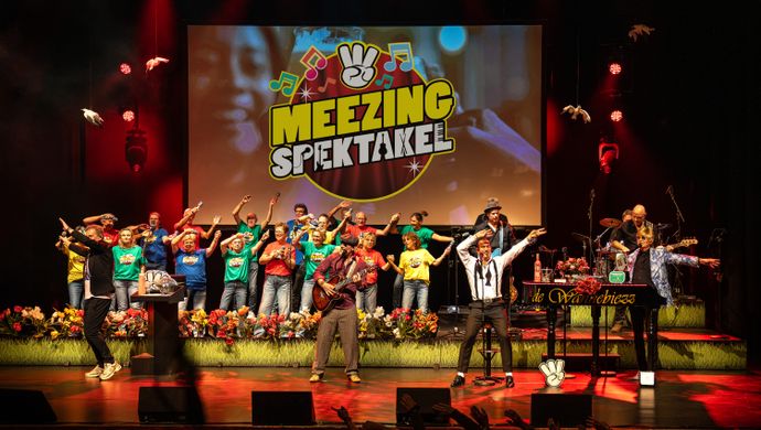 Het Meezingspektakel | van Malle Babbe tot Dancing Queen | 20 februari 2027 | Theater de Bussel