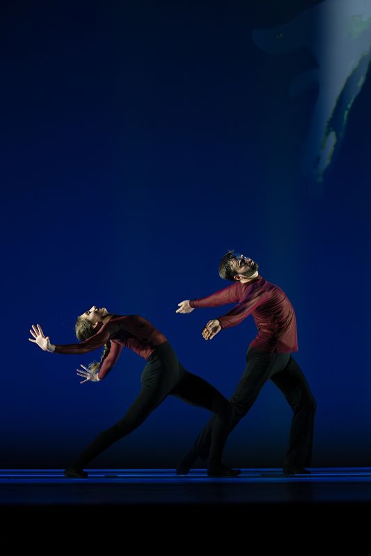 Another Kind of Blue | Silent Gestures | 4 maart 2027 | Theater de Bussel