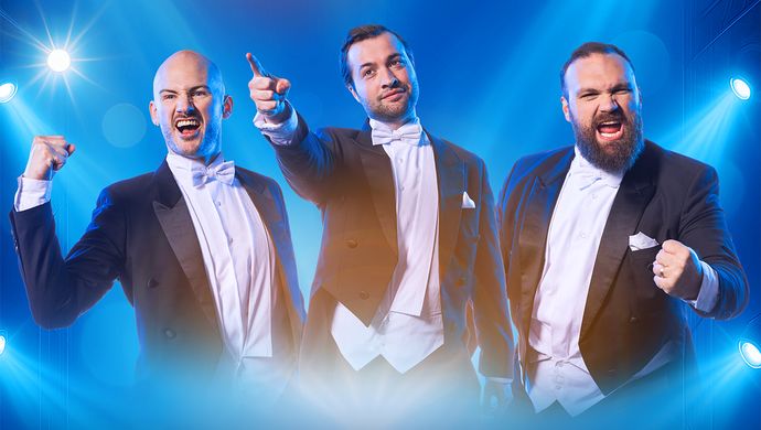 The Diamond Baritones | The Circle of Life | 8 januari 2027 | Theater de Bussel