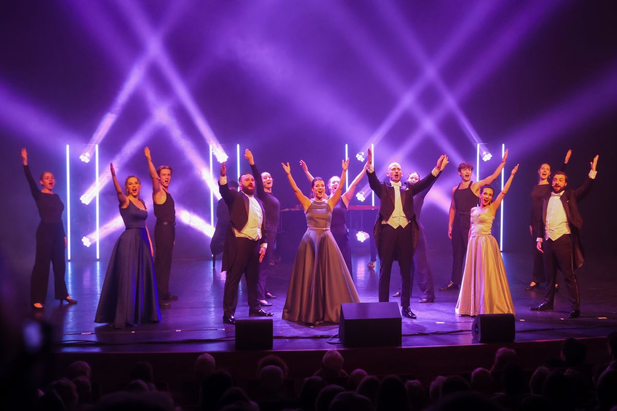 The Diamond Baritones | The Circle of Life | 8 januari 2027 | Theater de Bussel