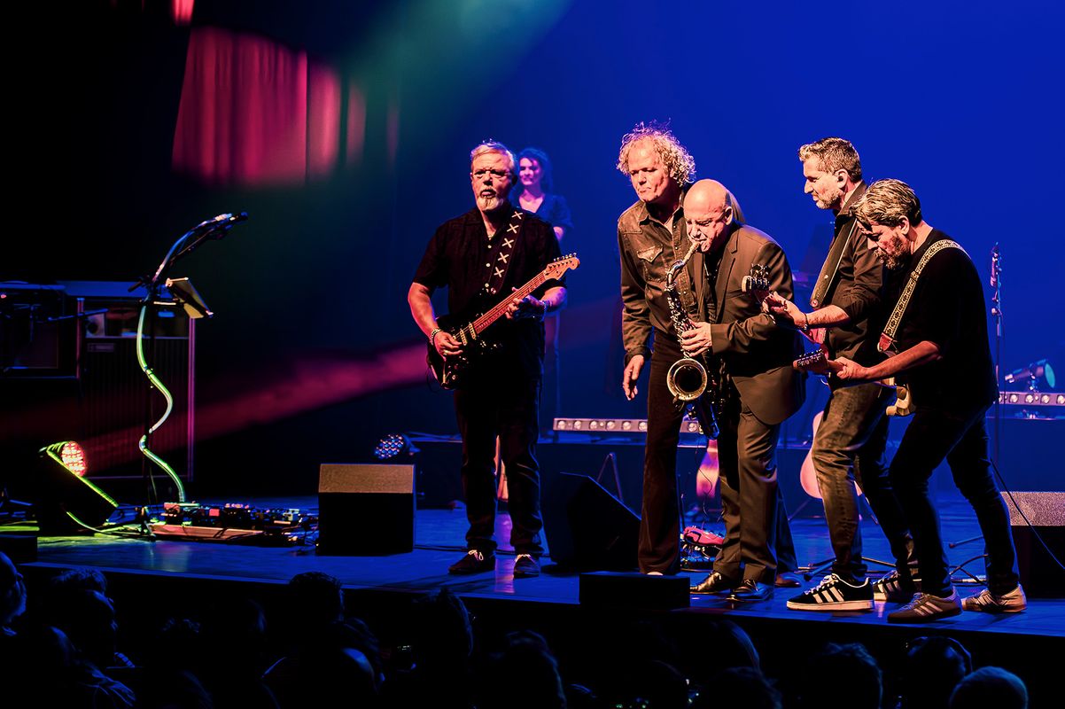 Pink Project the Band | The Story of Floyd Later Works | 18 december 2026 | Theater de Bussel